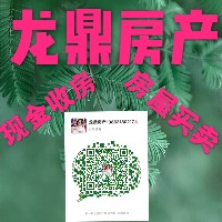 龙鼎房产